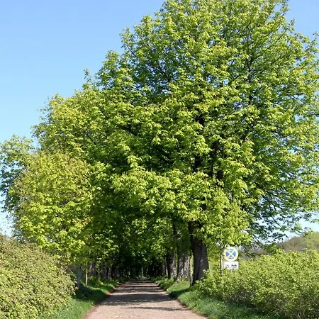 Apartamento Silvana Binz