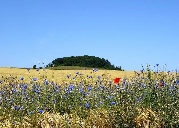 Apartamento Silvana *