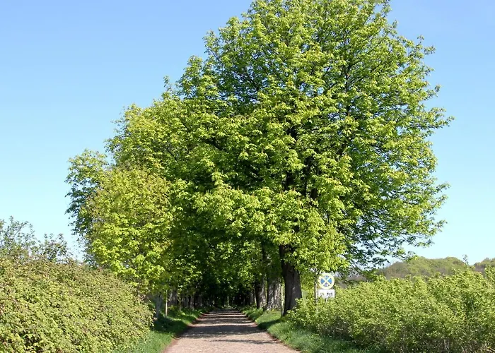 Apartamento Silvana Binz